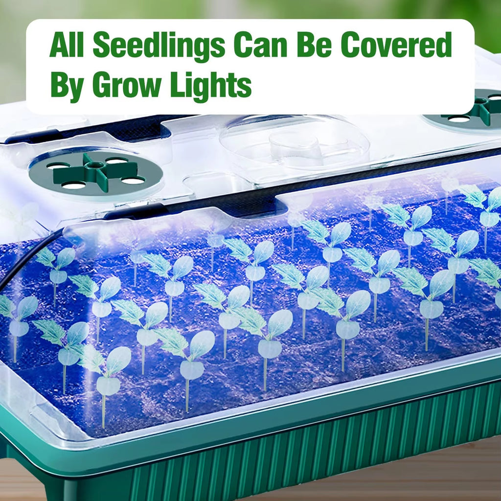 Seed Starter Tray Set with High Dome Germination Kit - 80 Cells, 4 LED Grow Lights, Smart Timer, and 3 Modes for Home Gardening (2 Pack)