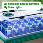 Seed Starter Tray Set with High Dome Germination Kit - 80 Cells, 4 LED Grow Lights, Smart Timer, and 3 Modes for Home Gardening (2 Pack)